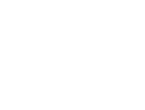 logo_home_whitebear