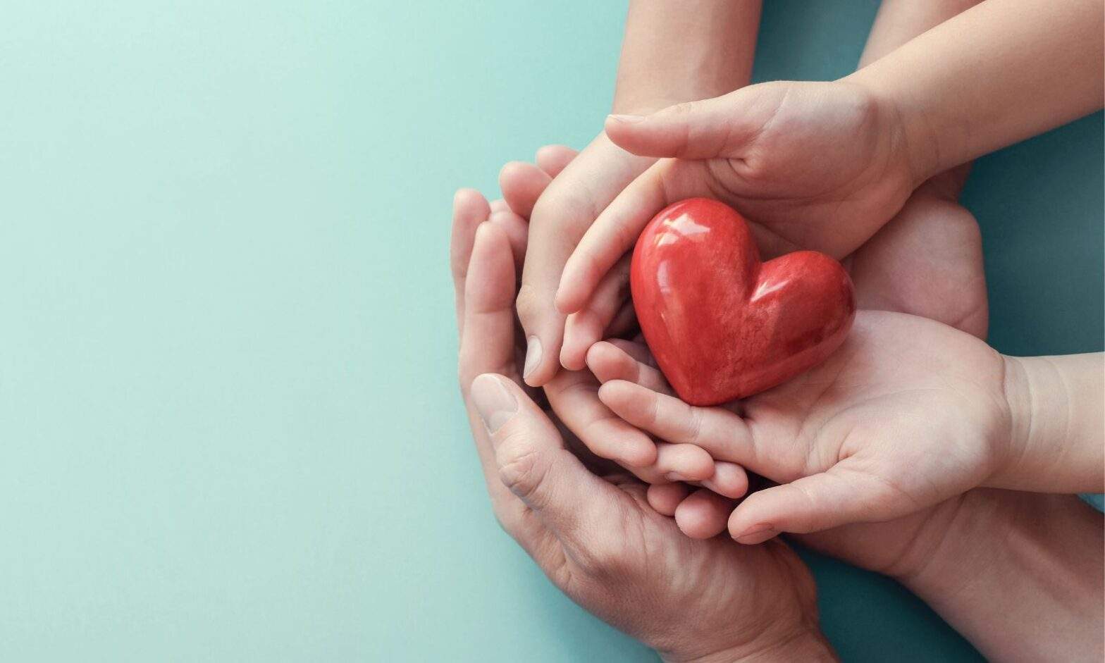 Featured image for post: How To Leave a Gift to Charity in Your Will